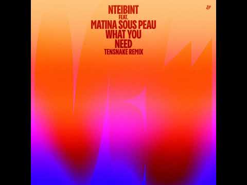 NTEIBINT feat. Matina Sous Peau - What You Need (Tensnake Remix)