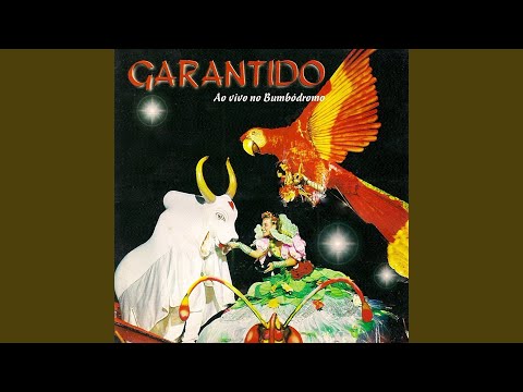 Missão De Ensinar - Boi Garantido