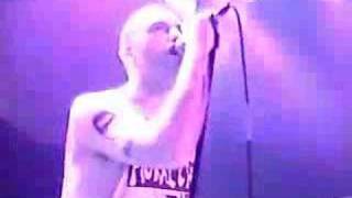 screeching weasel - joanie loves johnny