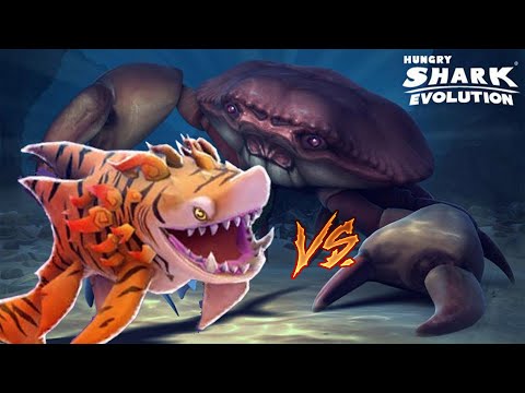 Hungry Shark Evolution - NEW SHAR-KHAN TIGER SHARK vs BLACK GIANT CRAB