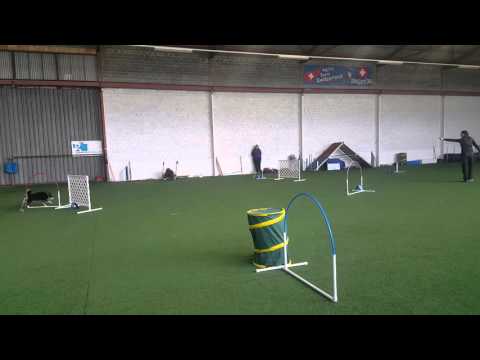 NADAC-Hoopers Agility 11.3.2016