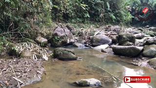 পাথারিয়া ঝর্ণা(ঝেরঝেরি ঝর্ণা) বড়লেখা মৌলভীবাজার