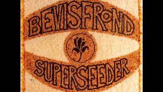 The Bevis Frond - House of Mountains