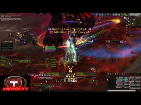 Animosity - chamber of aspects VS Ursoc HC