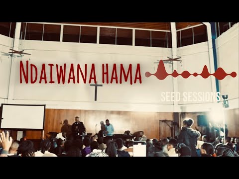 SeedSessions - Ndaiwana Hama (live in Zimbabwe, Harare 🇿🇼)