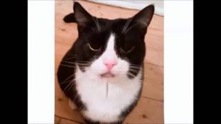 Jessica&#39;s Birthday