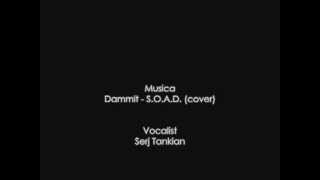 Dammit - SOAD (cover) with Lyrics