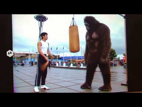 Bruce Lee and Bigfoot at the 1962 world fair
