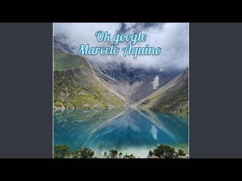 Ok Google - Marcelo Aquino