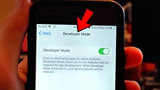 How To Enable Developer Mode on iPhone | Full Tutorial