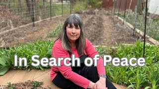 I didn't recognize who I was....I wanted to escape! //Peace in Midlife