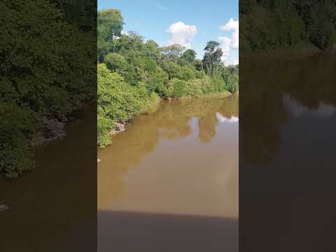 ponte do rio das cinzas em Guapirama