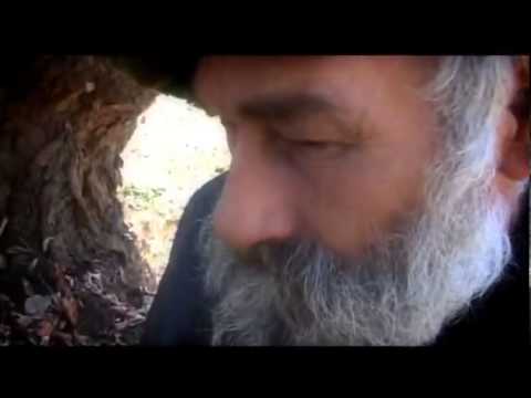 TRITON si DANIELA GYORFI - VIATA NU E CA O FLOARE