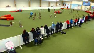 10.4.2016 TamSK - Agility Kim & Zorro A Clean run 1./57