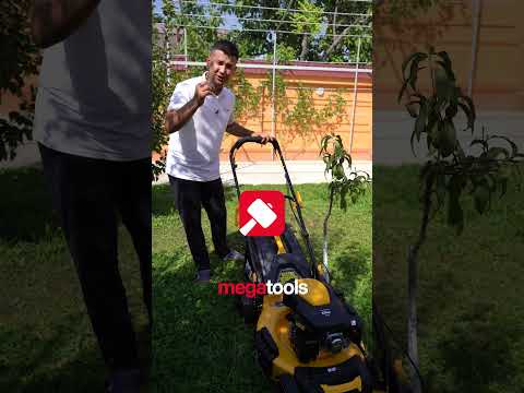 Lifehack video link - https://www.youtube.com/shorts/QOj86G0udU0