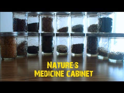 Medicine Cabinet-Chicory Root Roasted ( Coffee Substitute)