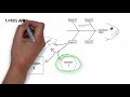 How To Solve A Problem In Four Steps The IDEA Model