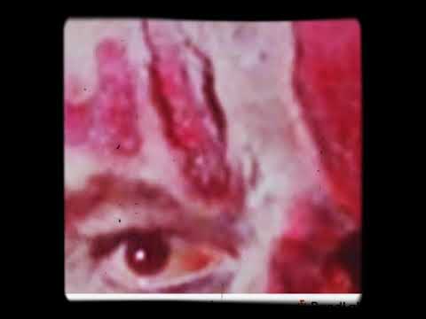 Video thumbnail for The City Of The Living Dead