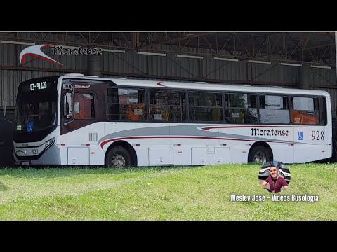 Moratense 928 - Apache VIP V sc - MB OF-1724 BlueTec5