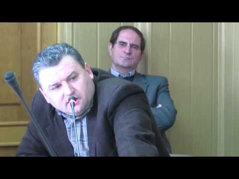 Chiru atac la Nechita