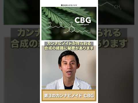 カンナビノイドについて詳しく解説