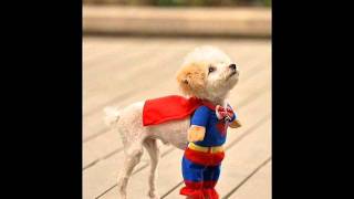 Joe Brooks - Superman Lyrics