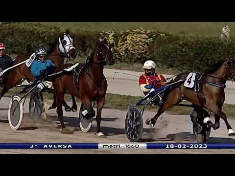 Aversa trotto 18 Febbraio 2023 - 3° Corsa