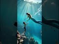 Realistic Mermaid And Boy Swimming Underwater Mermaid Aishorts Animation