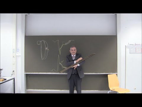 EKG - Wie "geht das"? - Einführung für Anfänger à la Mang