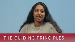 Discover Your Strengths at WashU | How CliftonStrengths Shapes Student Growth & Leadership