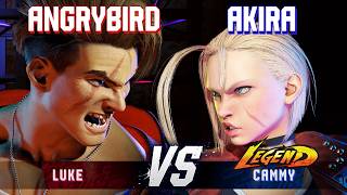 SF6 ▰ ANGRYBIRD (Luke) vs AKIRA (Cammy) ▰ High Level Gameplay