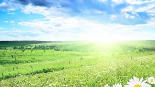 Greensleeves by Sloba Markovic