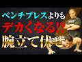 【腕立て伏せ】実はベンチプレスよりも大きくなる!?プッシュアップの効果的な3つの鍛え方【大胸筋】