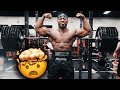 MASSIVE LIFETIME BENCH & SQUAT PR AT ZOO CULTURE!!!!