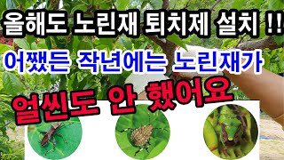 올해에도  노린재 기피제 설치 했어요. 어쨌든 작년에는 노린재 얼씬도 하지 않았어요.(해충 방제, 노린재 피…