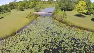 preview picture of video 'Grant Woods Forest Preserve Lake County Illinois'