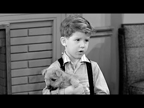 Little Ricky’s Got a New Puppy!