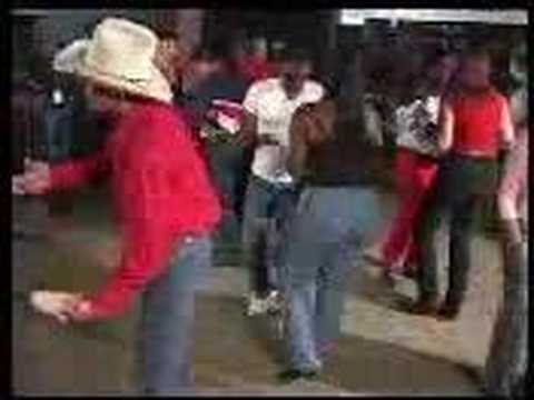 Louisiana Zydeco Live 5