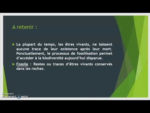 la biodiversité change au cours du temps