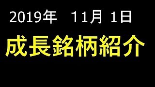 【株式投資】2019年 11月 1日 成長銘柄を厳選２銘柄紹介