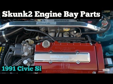 Skunk2 Fuel Rail & Short Shifter Install - 1991 Civic Si B16A