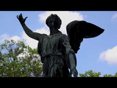 Hash Mills X Parakhan - Decay