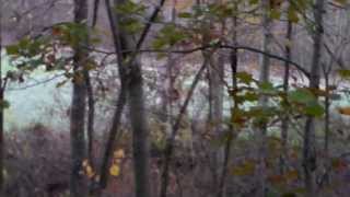 King's Bow Hunting Obsession PA Archery Buck Kill