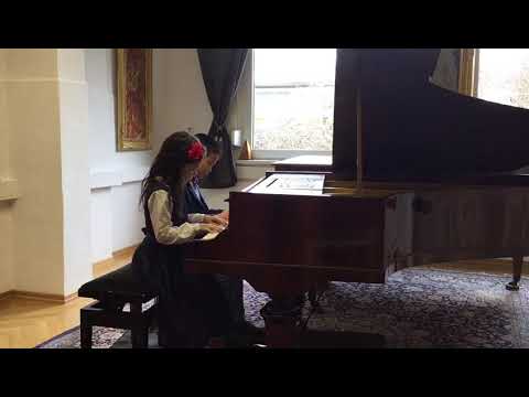 Jugendfreuden von Anton Diabelli Op163