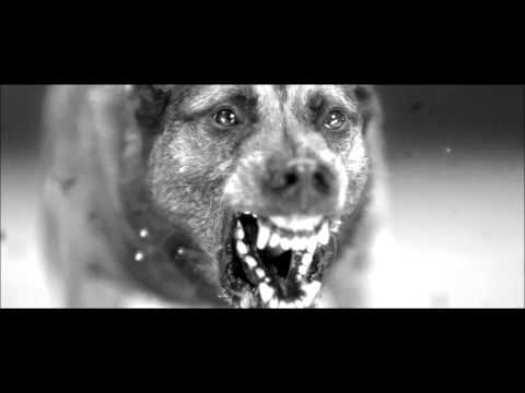 Brutality Will Prevail - Reprisal (Root Of All Evil)