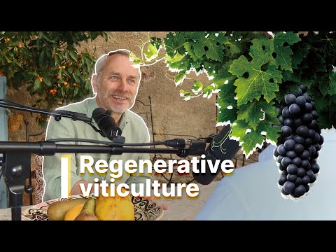 Regenerative Viticulture: The Future of Wine? 🍷 [STEPHEN CRONK]