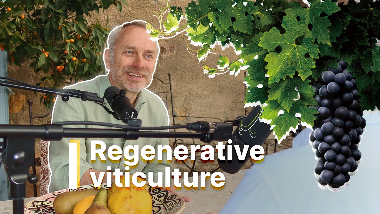 Regenerative Viticulture: The Future of Wine? 🍷 [STEPHEN CRONK]