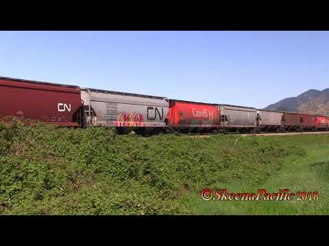 SP Trains #969 Nearly Home     2018-04-23
