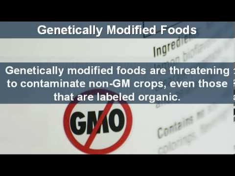 GMOs