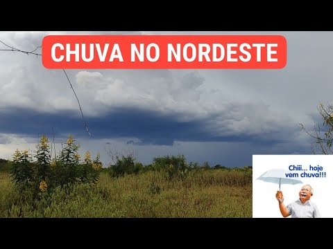 🌧️ CHUVA NO NORDESTE: Destaque para o CEARÁ 